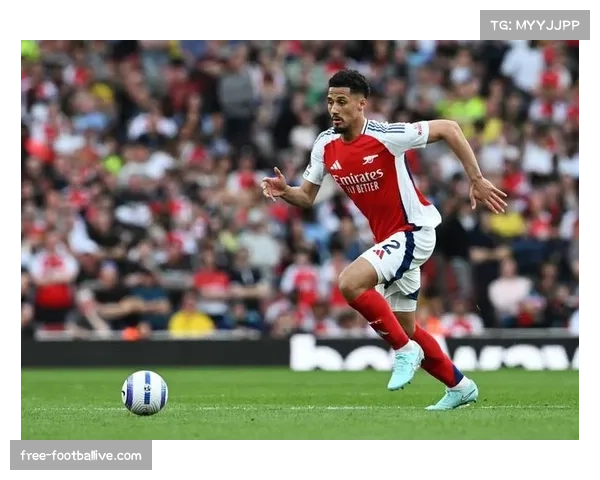 阿森纳萨利巴防守稳健 位置感与出球能力俱佳